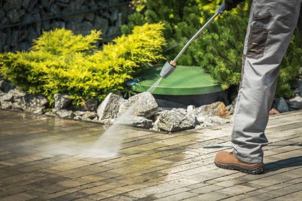 Best Soft Washing for Delicate Surfaces in Bloomer, WI