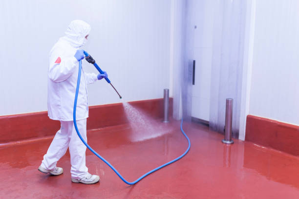Best Rust and Stain Removal in Bloomer, WI